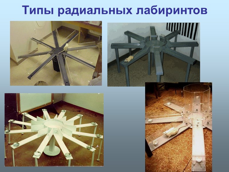 Типы радиальных лабиринтов